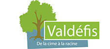 Logo client Valdéfis