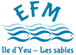 logo EFM